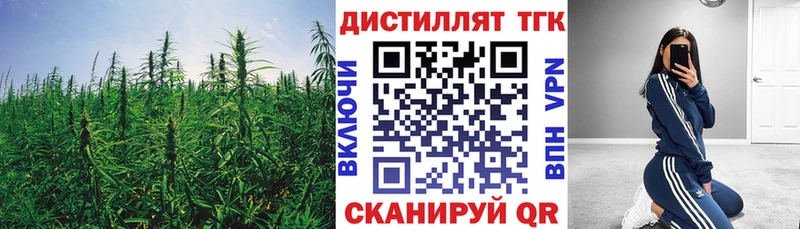 ТГК гашишное масло  ссылка на мегу ТОР  Лесной 