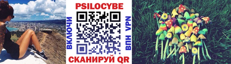 что такое наркотик  blacksprut как войти  Галлюциногенные грибы мухоморы  Лесной 